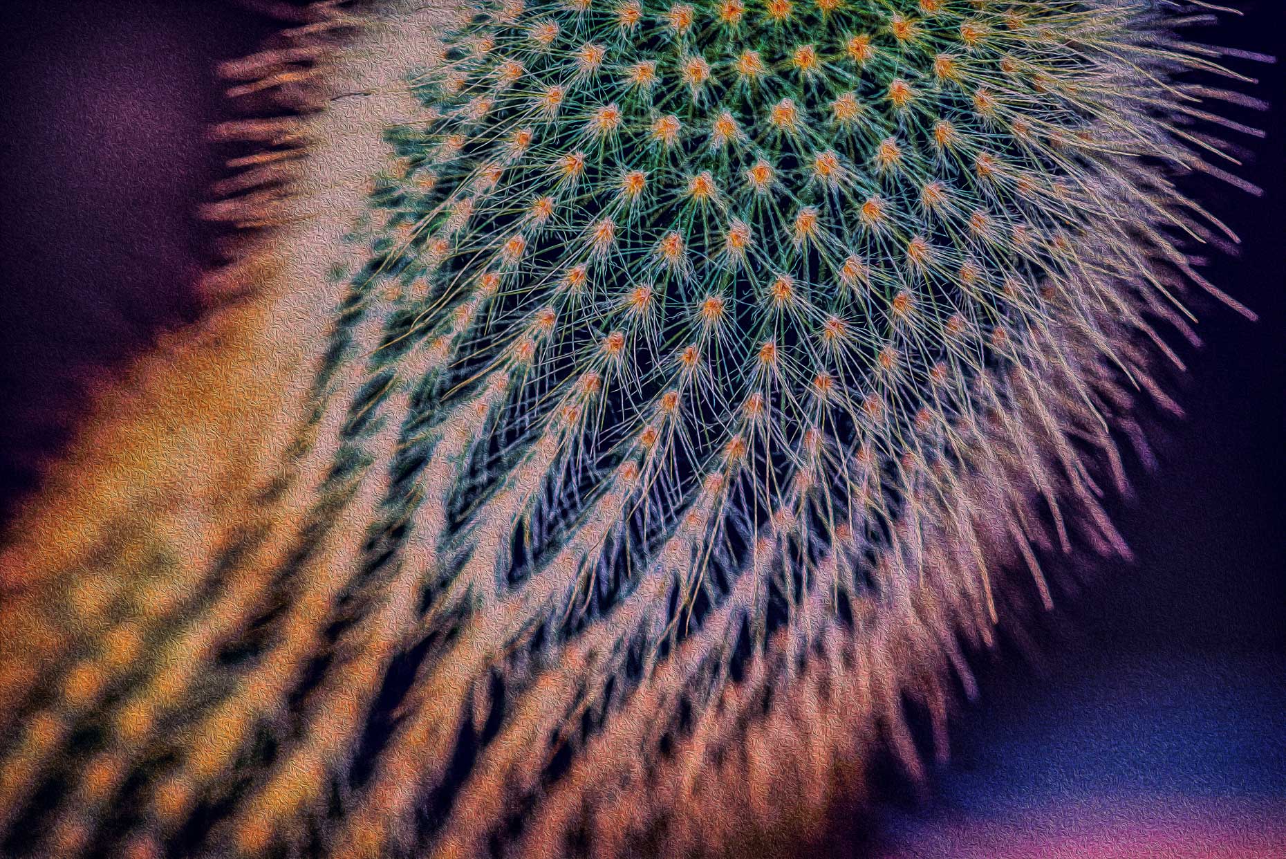 Super Spiky Cactus