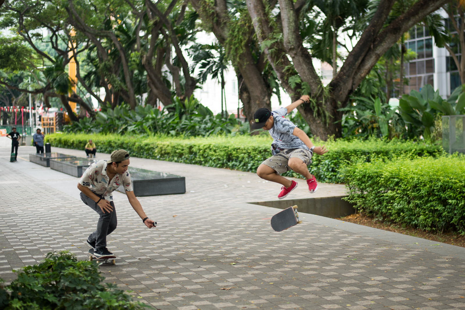 sda_web_-4836